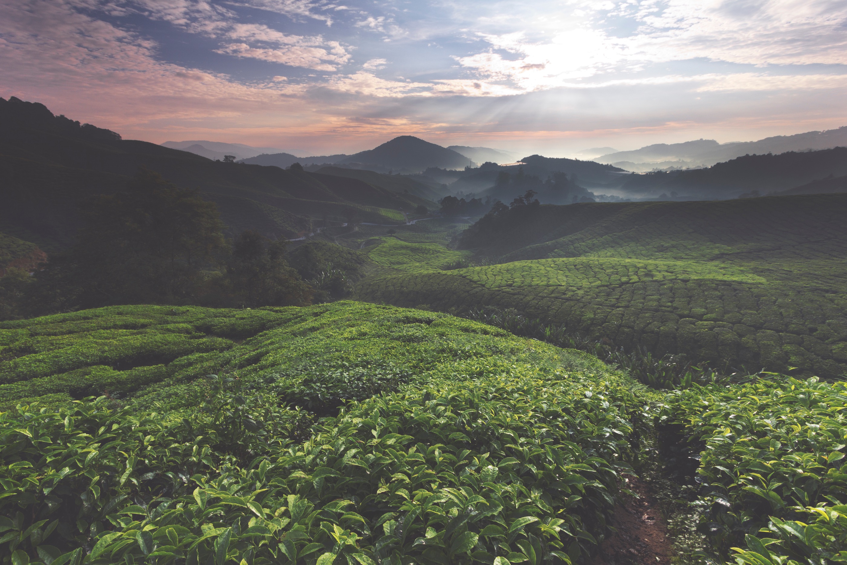 Startseite Image Banner